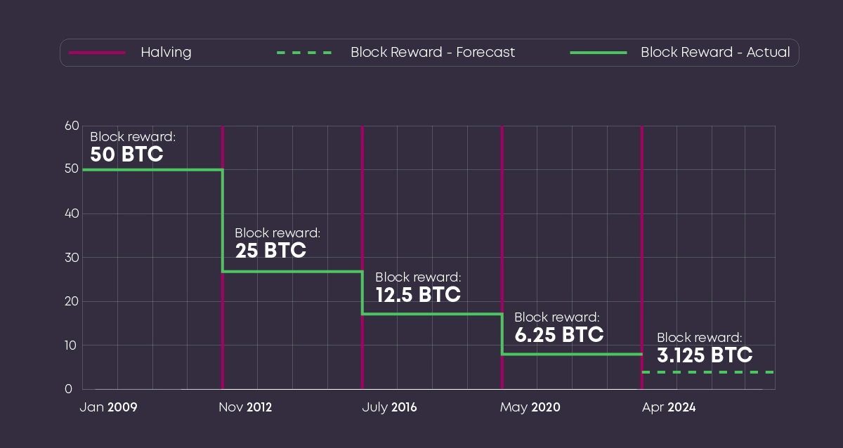 Infographic that represents Bitcoin halving history 